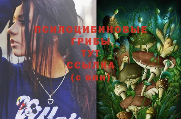 дживик Дубовка