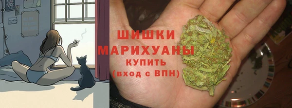 дурь Верея