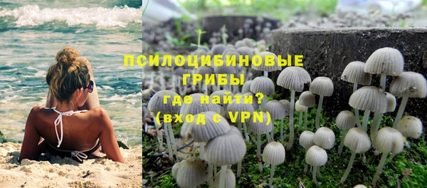 PSILOCYBIN Верхний Тагил