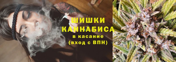 прущие грибы Дубна