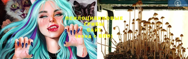 тгк Верхнеуральск