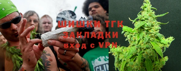 PSILOCYBIN Верхний Тагил