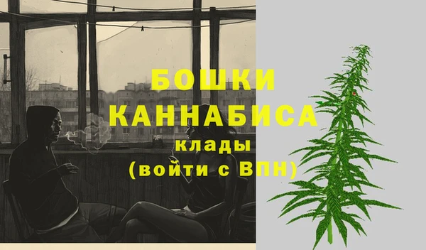 PSILOCYBIN Верхний Тагил